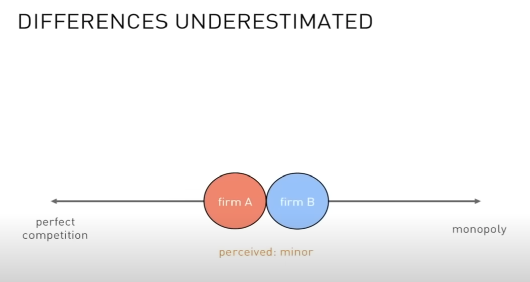 Slide "Differences underestimated": two firms drawn side by side near perfect competition, labeled perceived: minor